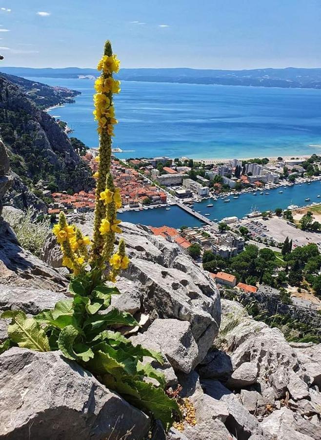 Amazing Sea View Apartment Omis Exterior photo
